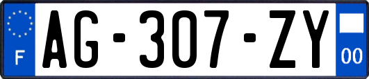 AG-307-ZY