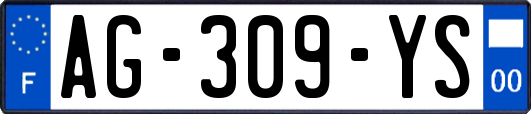 AG-309-YS