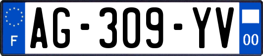 AG-309-YV