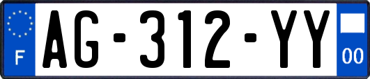 AG-312-YY