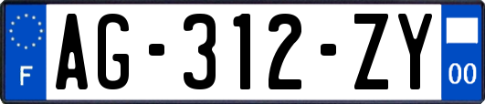 AG-312-ZY