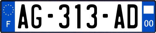 AG-313-AD