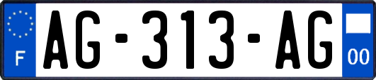 AG-313-AG