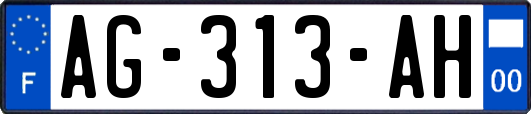 AG-313-AH