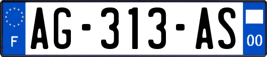 AG-313-AS