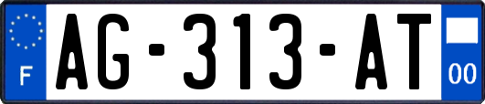 AG-313-AT