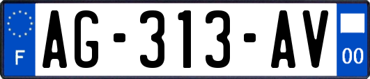 AG-313-AV