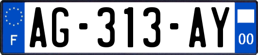 AG-313-AY