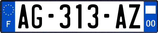 AG-313-AZ