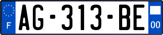 AG-313-BE