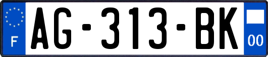 AG-313-BK