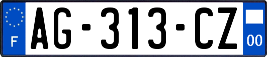 AG-313-CZ