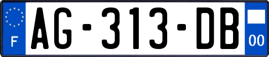 AG-313-DB