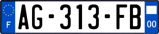 AG-313-FB