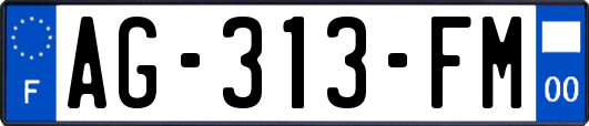 AG-313-FM