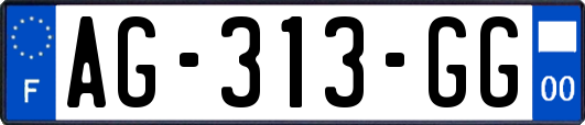 AG-313-GG