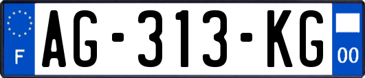 AG-313-KG