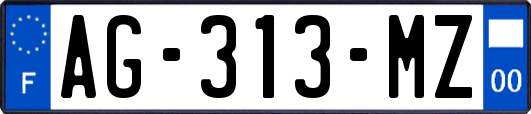 AG-313-MZ