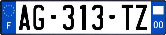 AG-313-TZ