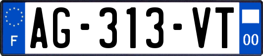 AG-313-VT