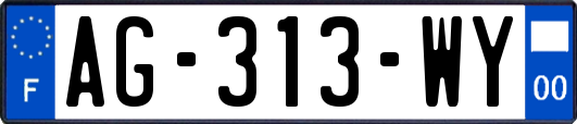 AG-313-WY