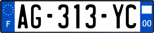 AG-313-YC