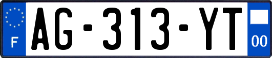 AG-313-YT