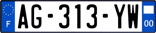 AG-313-YW