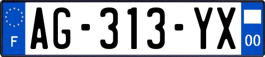 AG-313-YX