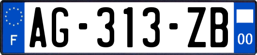 AG-313-ZB