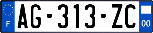 AG-313-ZC