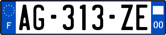 AG-313-ZE