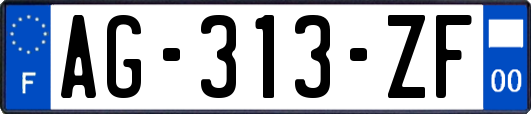 AG-313-ZF