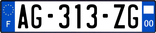 AG-313-ZG