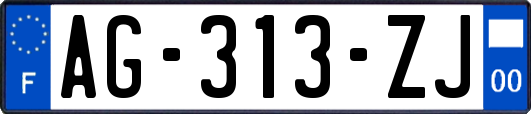 AG-313-ZJ