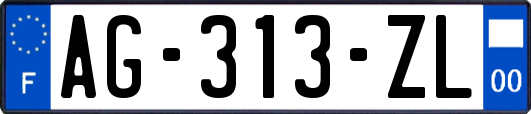 AG-313-ZL