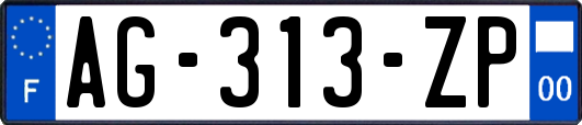 AG-313-ZP