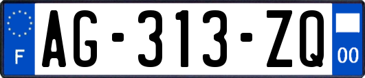 AG-313-ZQ