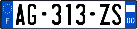 AG-313-ZS