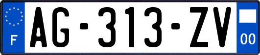 AG-313-ZV