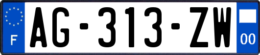 AG-313-ZW