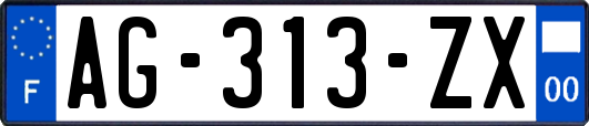 AG-313-ZX