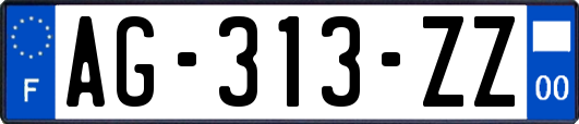 AG-313-ZZ