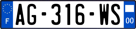 AG-316-WS