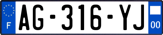 AG-316-YJ
