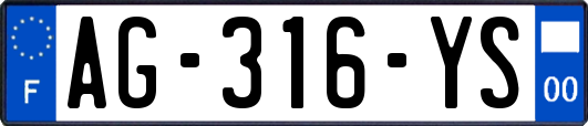 AG-316-YS