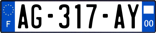 AG-317-AY