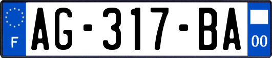 AG-317-BA