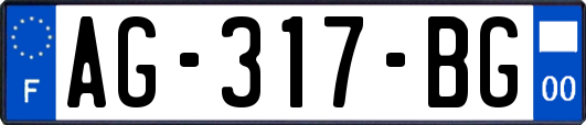 AG-317-BG