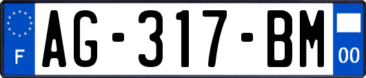 AG-317-BM